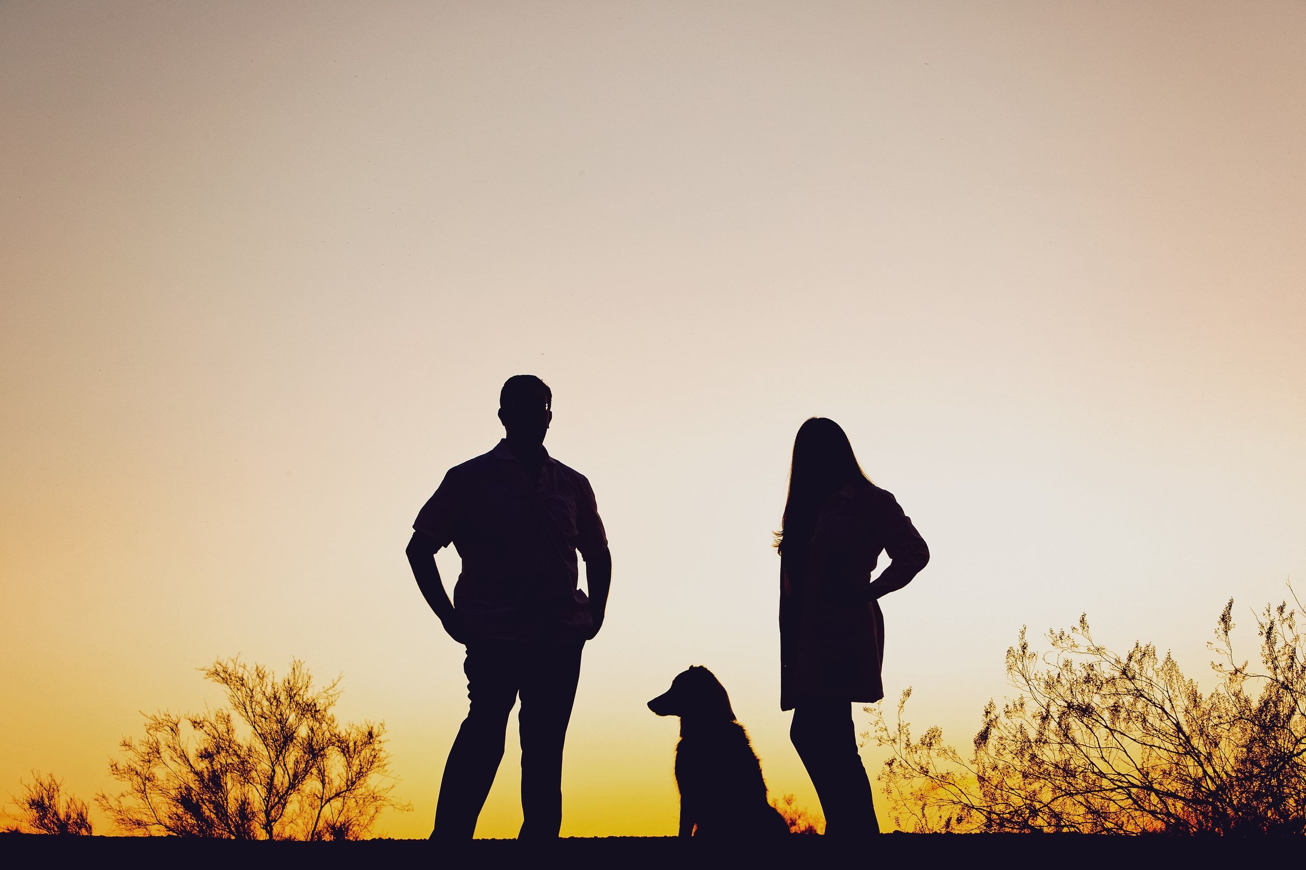 Dr. Berman and Dr. Kitchen with their dog, silhouetted against a Sonoran desert sunset